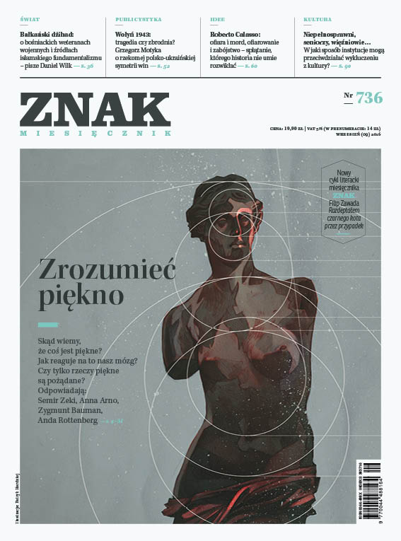 Zrozumieć piękno