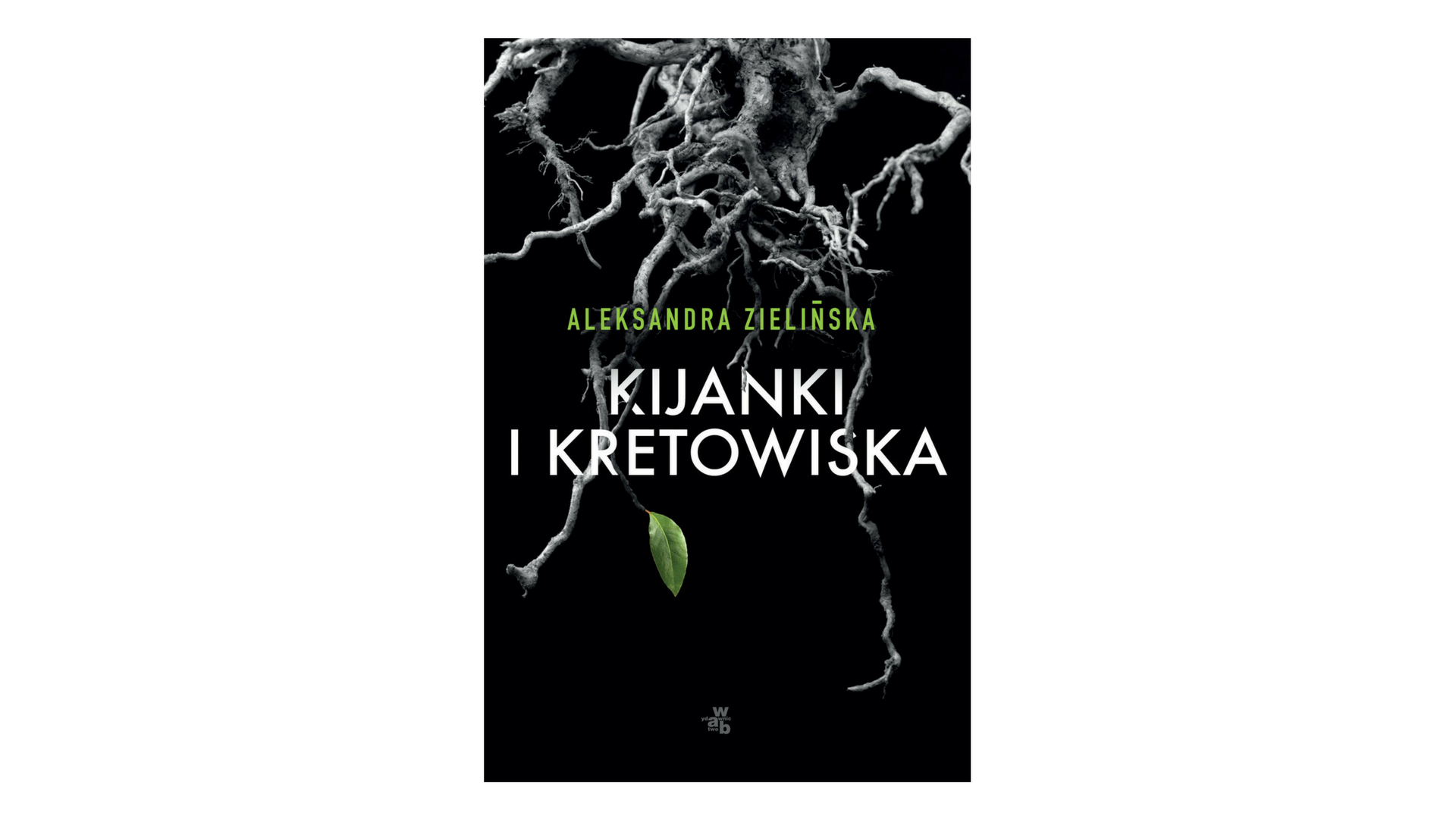 Taniec nieszczęśliwych cieni — ilustracja