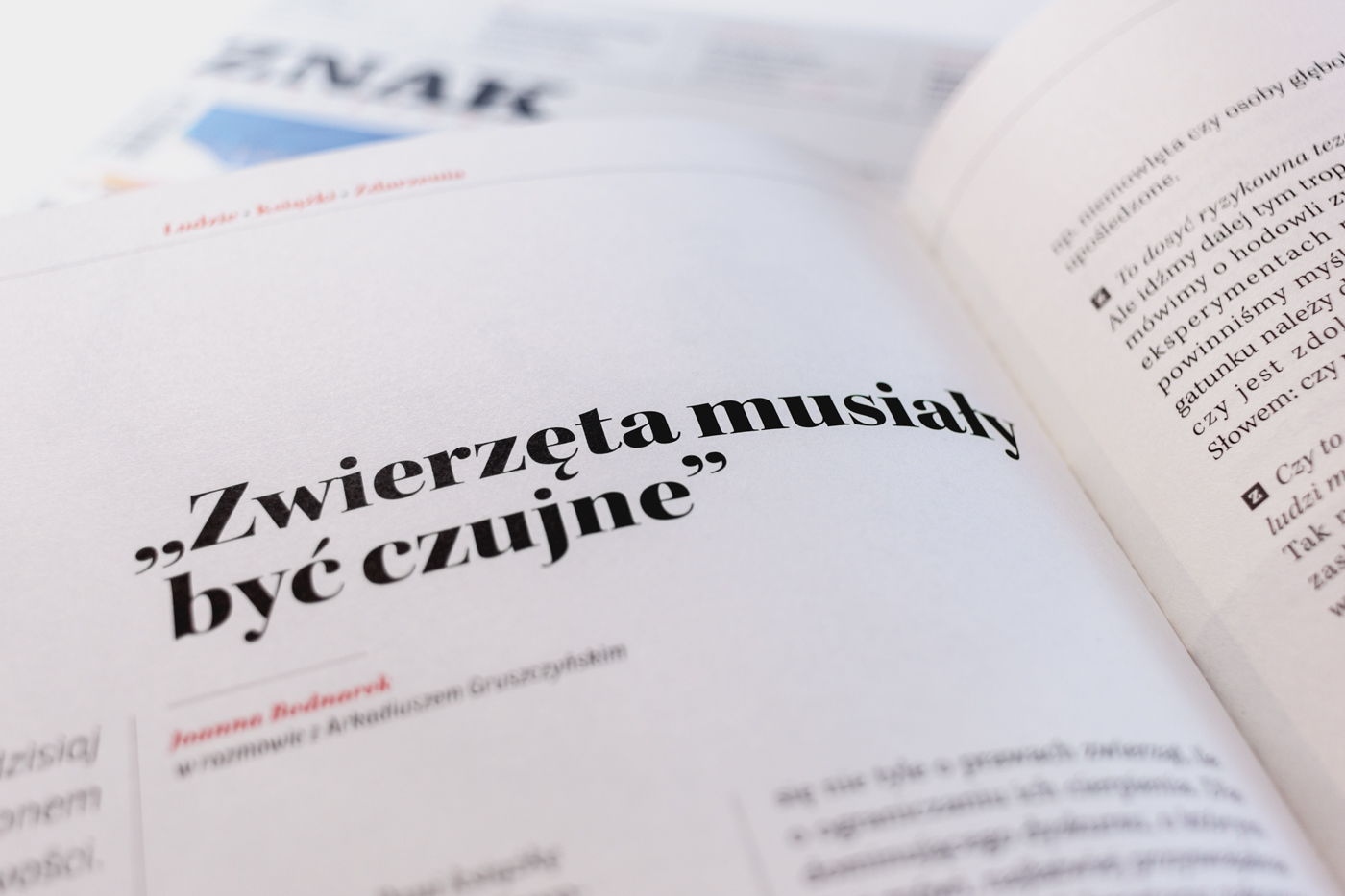 „Zwierzęta musiały być czujne” — ilustracja