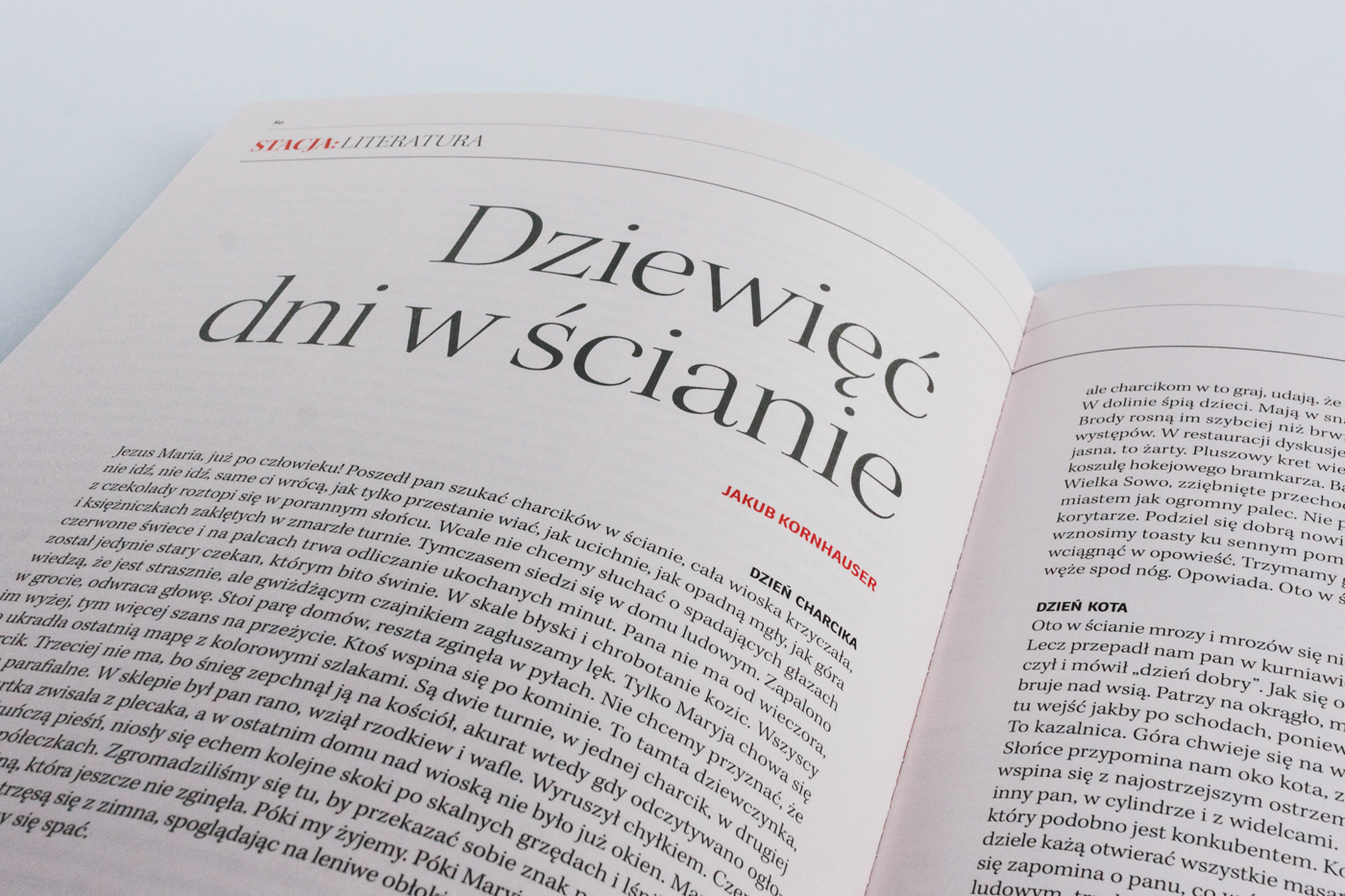 Dziewięć dni w&nbsp;ścianie — ilustracja