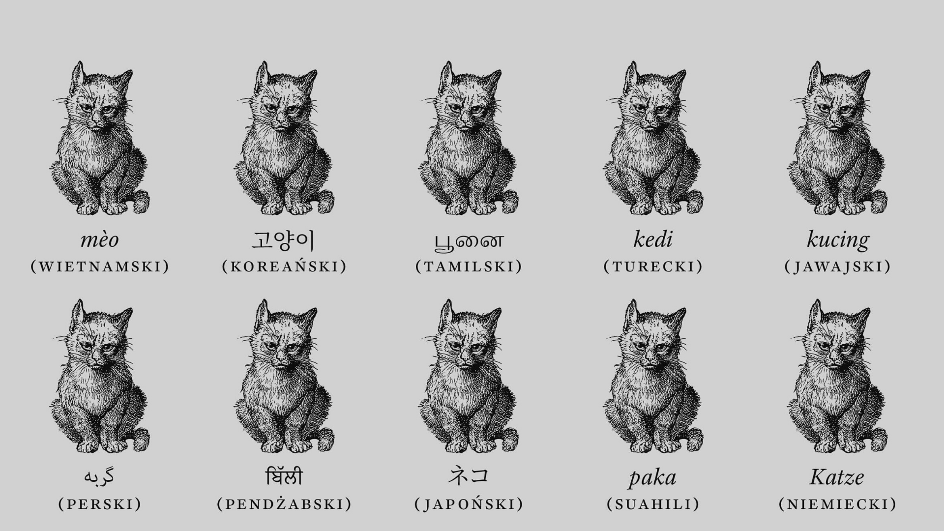 W&nbsp;poszukiwaniu wspólnego języka — ilustracja