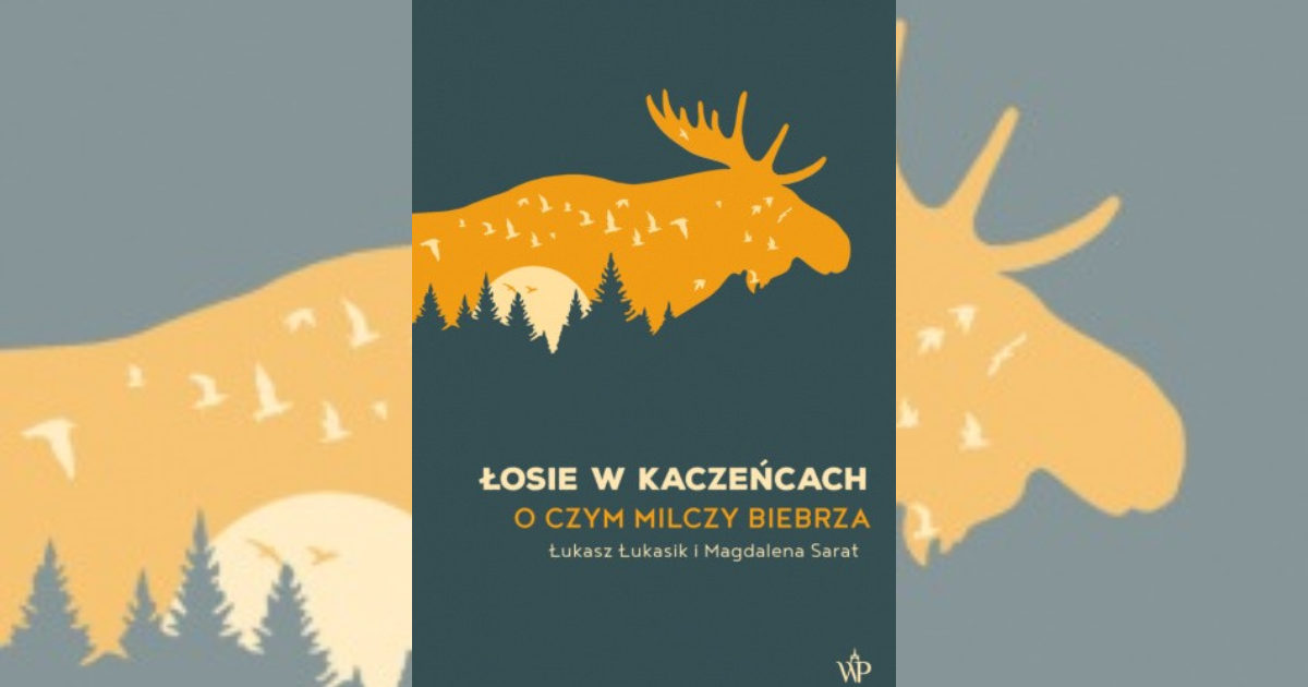 W&nbsp;pogoni za&nbsp;ostrością — ilustracja