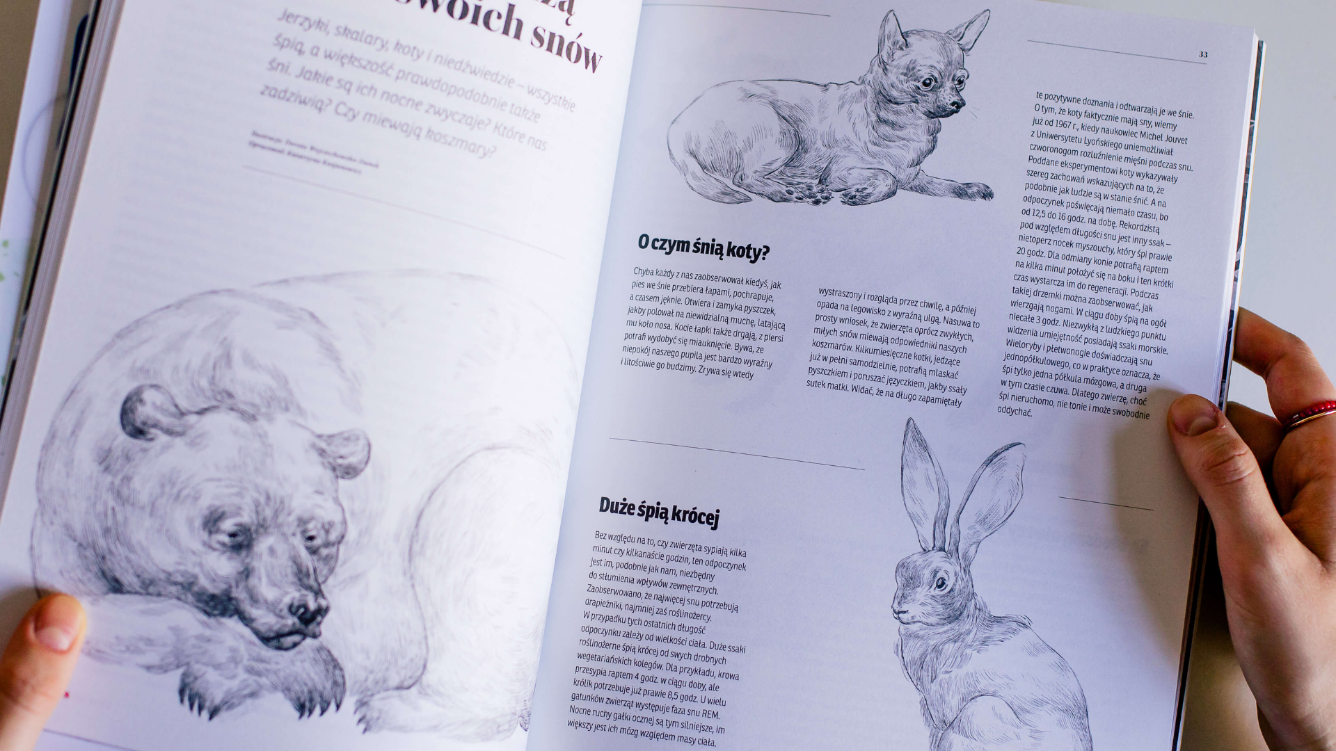 Nie opowiedzą nam swoich snów — ilustracja