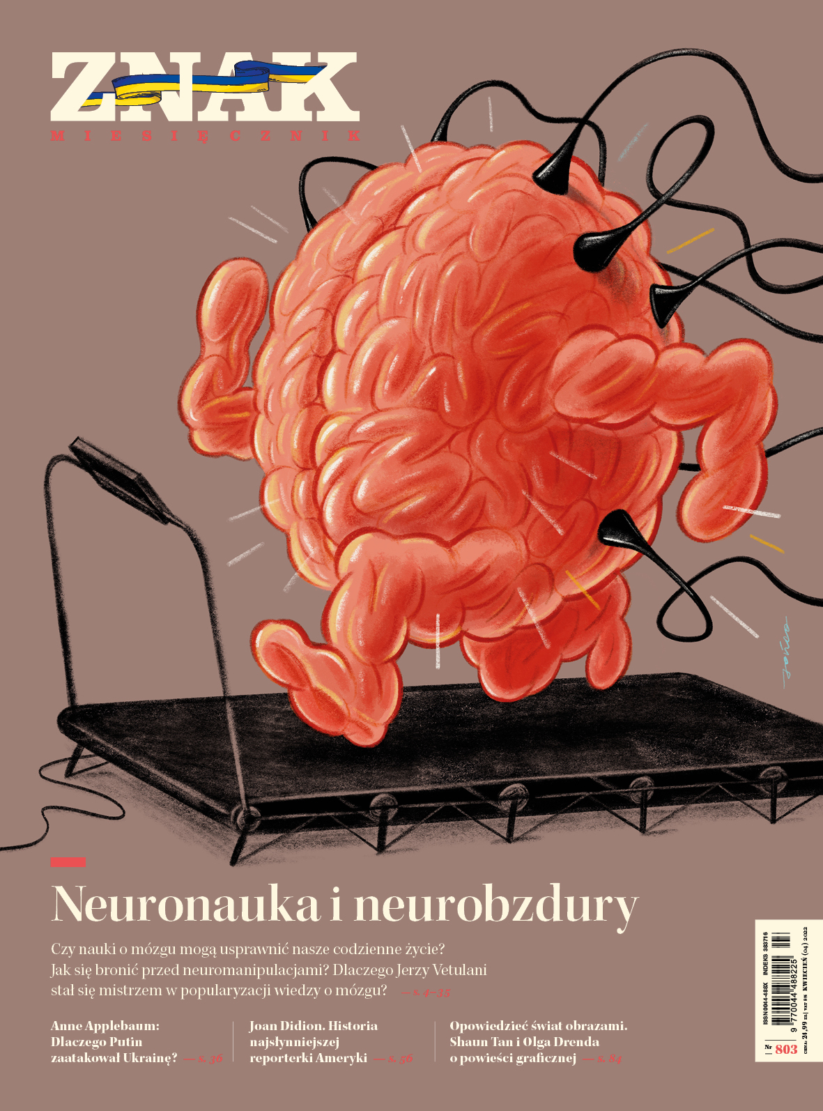 Neuronauka i&nbsp;neurobzdury