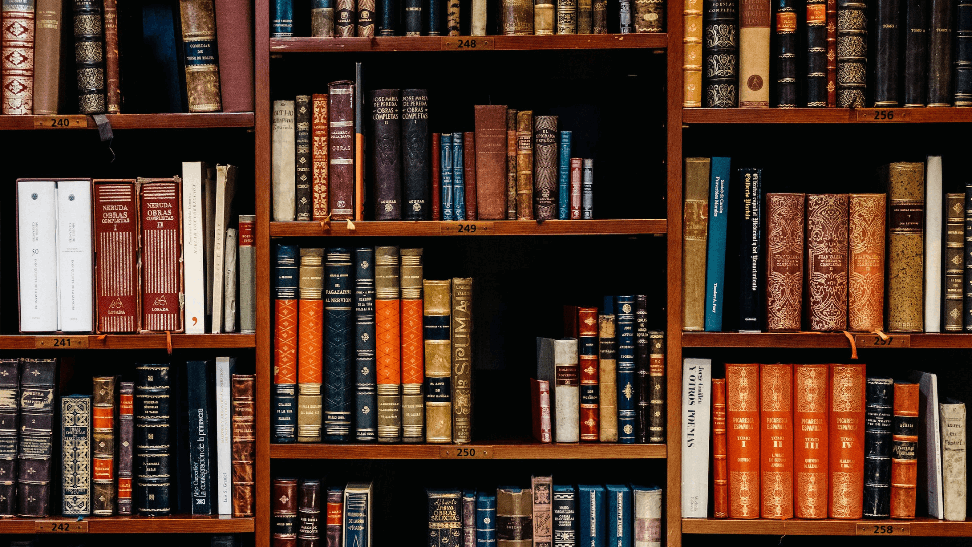 Biblioteczne baśnie — ilustracja