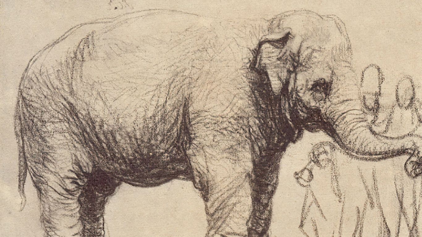 Hansken i&nbsp;Clara — ilustracja