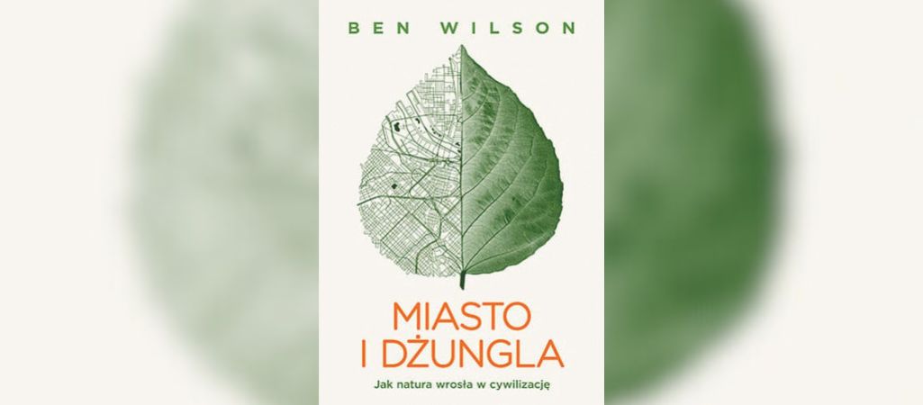 Naturokultura — ilustracja